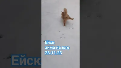 Настоящая зима пришла в Ейск | 12.01.2024 | Ейск - БезФормата