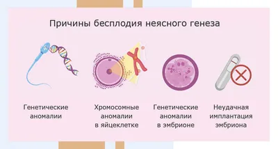 Сколько стоит ЭКО в Москве: цены на экстракорпоральное оплодотворение