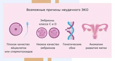 Сделать ЭКО в Краснодаре: программы ЭКО