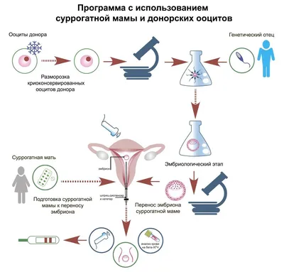 Капсулы для стирки Synergetic, Эко, для цветного белья, 40 шт в Клинцах:  цены, фото, отзывы - купить в интернет-магазине Порядок.ру