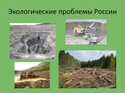 Экологические Проблемы России Картинки