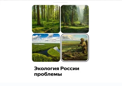 Всероссийское исследование экологической ситуации в регионах Российской  Федерации