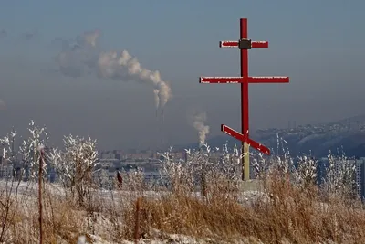 Экологическая проблема: вырубка лесов в России: Статьи экологии ➕1,  09.02.2022