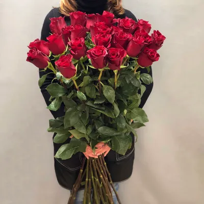Роза Эквадор 110 см (высокая) от 11 шт доставка в Уфе | «МосРозаОпт»