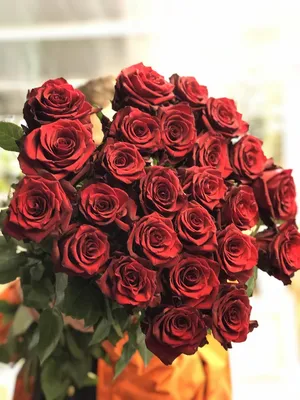 Розы : 31 Роза Эквадор (100 см)