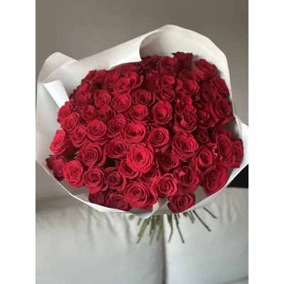 Розы (Эквадор) 60 см P-13 купить по цене 2950.00 руб. с доставкой по Туле –  интернет-магазин «Расцветочка»
