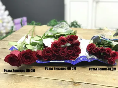 Роза Эквадор TARA 40-50см | Купить розы в Челябинске