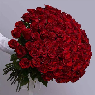 Купить Букет из 25 эквадорских роз в упаковке цена 5500 руб. в Ейске с  доставкой