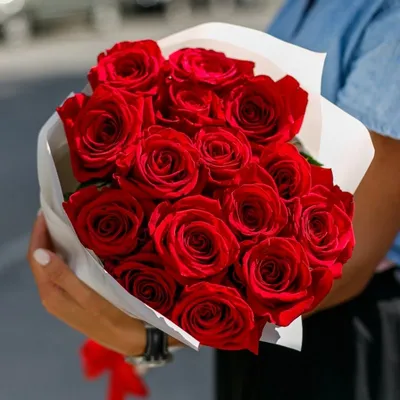 Букет из 51 красной розы 40-50 см (Эквадор) в Санкт-Петербурге, купить  букет с доставкой в СПБ | ЦветыОптРозница