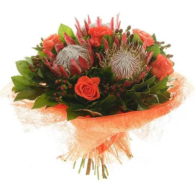 Букет из экзотических цветов с протеей \"Герой дня\" купить в Краснодаре  недорого - доставка 24 часа
