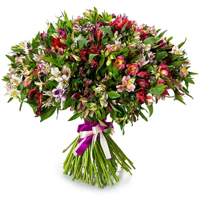 Букет из экзотических цветов \"Рыцарь\" купить в Краснодаре недорого -  доставка 24 часа