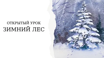 Зимний сон деревьев — Алтайский биосферный заповедник