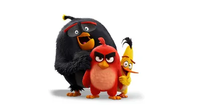 The Angry Birds Movie: The Junior Novel: Cerasi, Chris: 9780062453365:  Amazon.com: Books