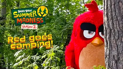 Angry Birds Evolution | Official Profile