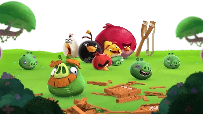 Angry Birds Squishmallows fan concepts wave 1 : r/angrybirds