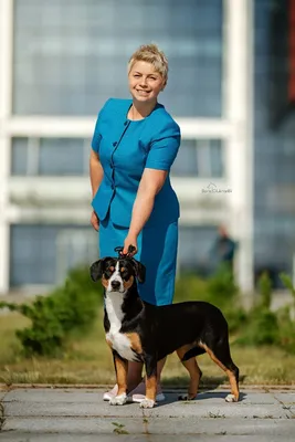 https://dzen.ru/a/ZaYrKyJsSw72hnGz
