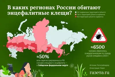 Где в России водятся энцефалитные клещи - Газета.Ru