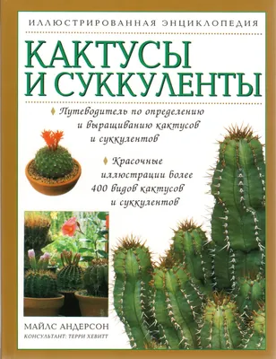 Кактусы и суккуленты. Иллюстрированная энциклопедия