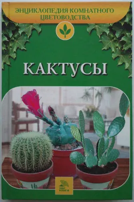 Книга Вязание в ЭКО-стиле. Кактусы и суккуленты. 16 пушистых проектов для  вязания крючком - купить дома и досуга в интернет-магазинах, цены на  Мегамаркет | ITD000000000944357