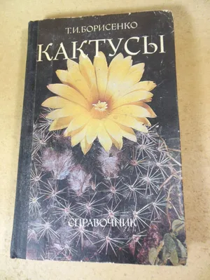 Книга Колючка: как Создать Зеленый Оазис У Себя Дома, Удивительные кактусы  и Суккуленты - купить дома и досуга в интернет-магазинах, цены на  Мегамаркет |