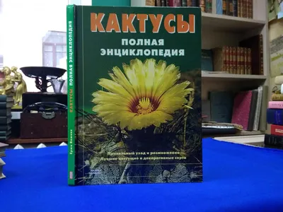 Книга Эксмо Приют для бездомных кактусов купить по цене 886 ₽ в  интернет-магазине Детский мир