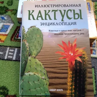 Кактус. Никогда не поздно зацвести (Сара Хейвуд) - купить книгу с доставкой  в интернет-магазине «Читай-город». ISBN: 978-5-04-103562-4
