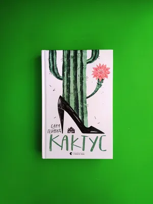 Кактус, старые книги и красочные карандаши Стоковое Изображение -  изображение насчитывающей ретро, коллеж: 89766805