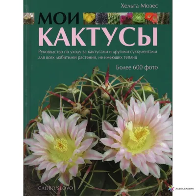 Книга Кактус, Сара Гейвуд, Видавництво Старого Лева (ID#1455729012), цена:  229.99 ₴, купить на Prom.ua
