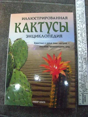Кактусы Иллюстрированная энциклопедия (Либор Кунте) Лот №6537589208 -  купить на Crafta.ua