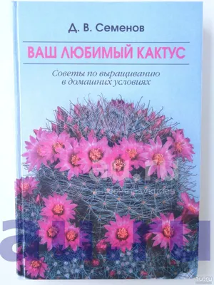 Книга Кактус. Гейвуд Сара (на украинском языке) | ReadMe - Читай і грай з  нами