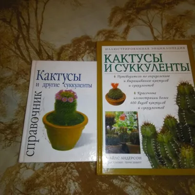 Кактус — Викицитатник