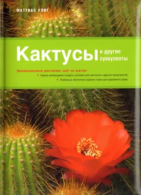 Книга Кактусы и суккуленты. Вязание в ЭКО-стиле Деловой Енот 140629560  купить в интернет-магазине Wildberries