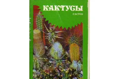 Семенов Д. В. Ваш любимый кактус — купить в Самаре. Состояние: Б/у. Сад,  огород, цветы на интернет-аукционе Au.ru