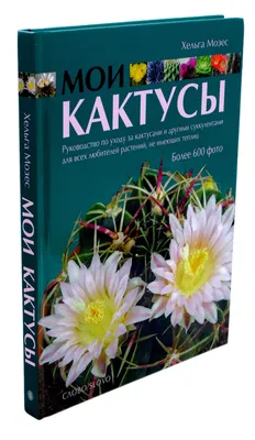 Книга \"Кактусы и другие суккуленты\" Улиг М - купить книгу в  интернет-магазине «Москва» ISBN: 978-5-373-04537-7, 620126