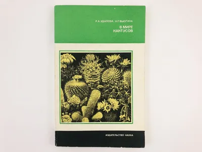 Сан-Педро: Кактус-проводник между мирами | Книга растений | Дзен