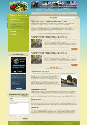 ИНТРОВЭБ» - Портфолио. Создание сайта: Интернет-энциклопедия многолетних  растений
