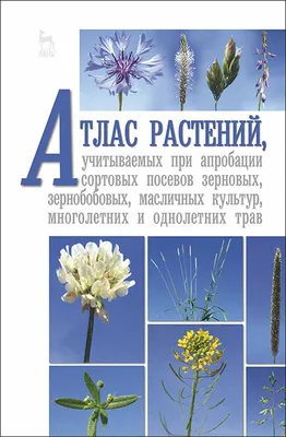 Садовые цветы (Римма Карписонова) - купить книгу с доставкой в  интернет-магазине «Читай-город». ISBN: 978-5-17-113342-9