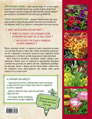 Лучшие садовые цветы от агрохолдинга «Поиск» — Ботаничка