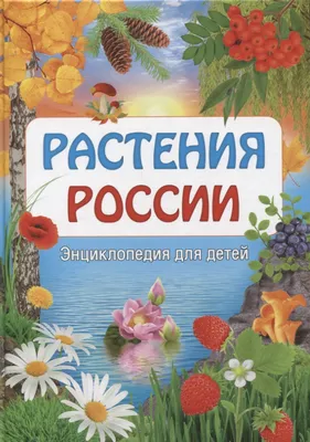 Книга Цветы. Энциклопедия для Малышей - купить детской энциклопедии в  интернет-магазинах, цены на Мегамаркет | 30666