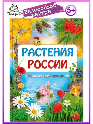 Цветы. Шедевры ботанической иллюстрации Пьер-Жозефа Редуте — купить книгу в  Минске — Biblio.by