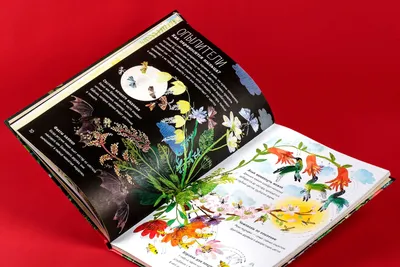 Большая книга цветов - Ad Marginem