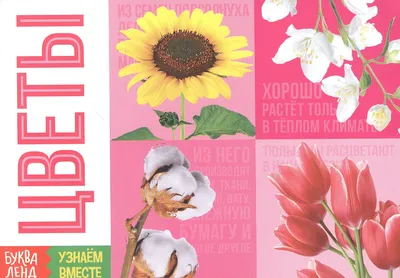 Купить книгу «Тайный язык цветов», Джилл Дэвис Джилл Сондерс | Издательство  «КоЛибри», ISBN: 978-5-389-17084-1