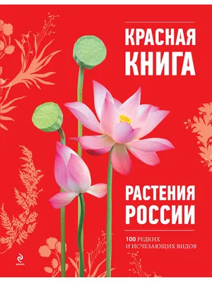 Растения России. Энциклопедия для детей. Книги для детей Владис 13227520  купить в интернет-магазине Wildberries