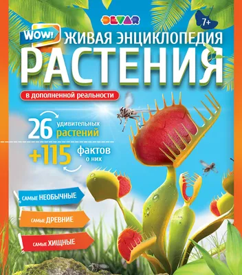 Обучающая книга «Цветы» - купить книгу с доставкой в интернет-магазине  «Читай-город». ISBN: 978-5-00-145708-4