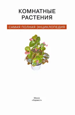 Анна Васильева \"Мой гербарий. Цветы и травы\" | Букландия | Детские книги |  Дзен