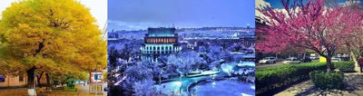 Армения зимой: что посмотреть | \"Путешествуем вместе\" | Дзен
