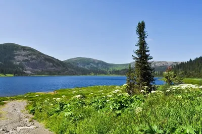 Озеро Светлое, Ергаки — Фото №1428840
