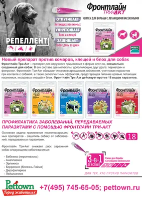 Frontline Tri-Act (Фронтлайн Три-Акт) Капли для собак от 2 до 5 кг купить  Средства от блох и клещей собакам | Zoolandia