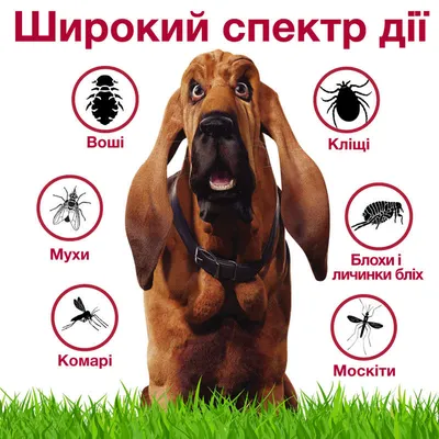 Таблетки от блох и клещей Zoetis Simparica (Симпарика) для собак 2.5-5 кг,  1 табл (ID#1662002235), цена: 271.60 ₴, купить на Prom.ua