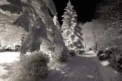 Ессентуки зимой фото фотографии